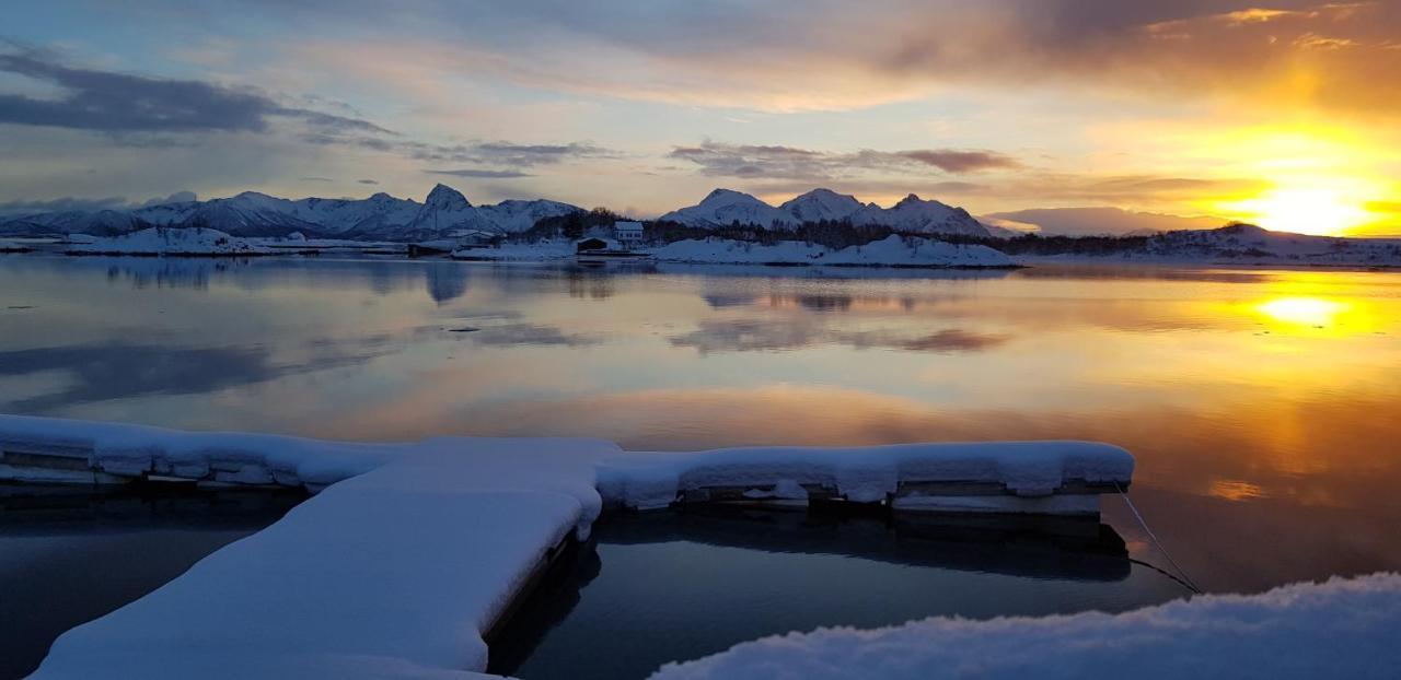Ringstad Resort Bo (Nordland) Exteriér fotografie